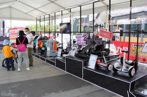 互聯(lián)網(wǎng)電動(dòng)車(chē) 服務(wù)光環(huán)下的實(shí)體工廠與購(gòu)車(chē)迷思